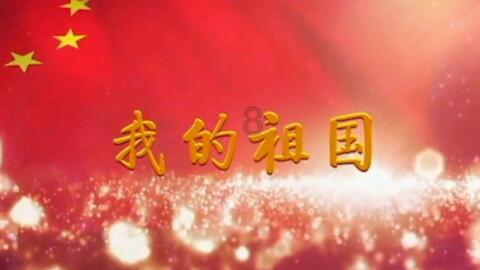 优雅的精灵